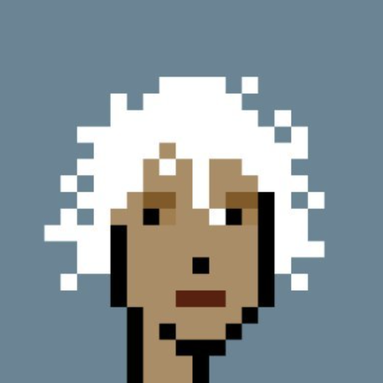 Cryptopunks collectible